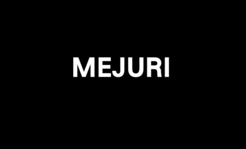 Mejurifrfr